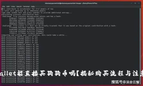  tpwallet能直接买狗狗币吗？揭秘购买流程与注意事项