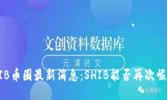 SHIB币圈最新消息：SHIB能否再次崛起？