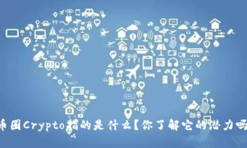 币圈Crypto指的是什么？你了解它的潜力吗？