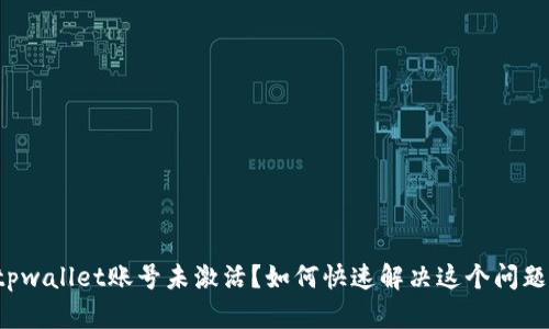 tpwallet账号未激活？如何快速解决这个问题！