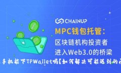 苹果手机能下TPWallet吗？如何解决可能遇到的问题