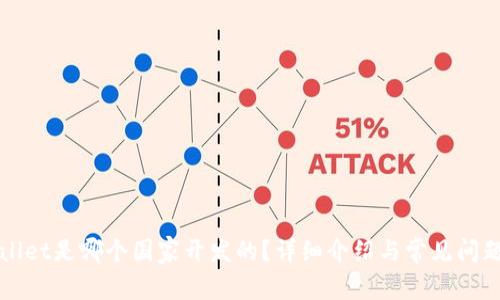 TPWallet是哪个国家开发的？详细介绍与常见问题分析