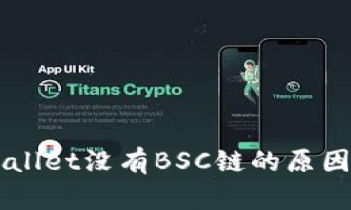 电脑版TPWallet没有BSC链的原因及解决方案