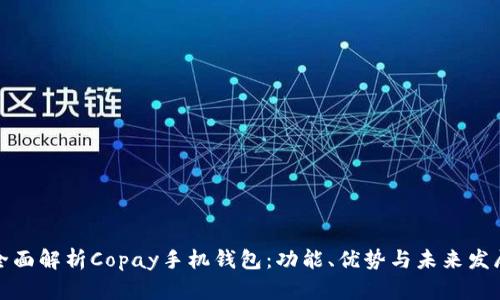 全面解析Copay手机钱包：功能、优势与未来发展
