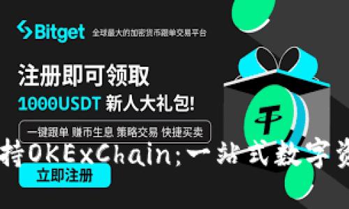 TPWallet支持OKExChain：一站式数字资产管理平台