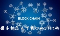 ziaoti苹果手机怎么下载tpwallet的全面指南