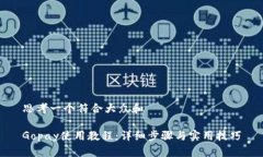 思考一个符合大众和Gopay使用教程：详细步骤与实