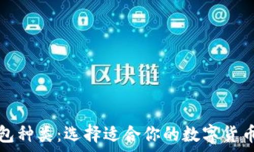   
比特币钱包种类：选择适合你的数字货币存储方式