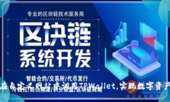 如何在自定义网站中调用TPWallet，实现数字资产管
