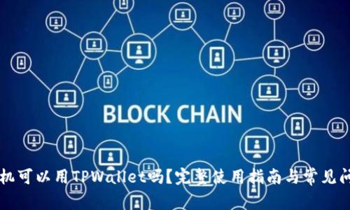 苹果手机可以用TPWallet吗？完整使用指南与常见问题解答