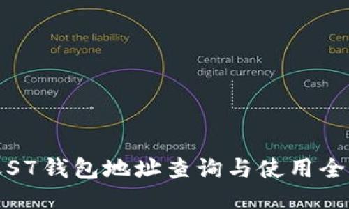 蚂蚁S7钱包地址查询与使用全攻略
