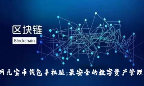  官网元宝币钱包手机版：最安全的数字资产管理工具