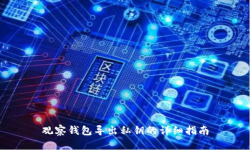 观察钱包导出私钥的详细指南