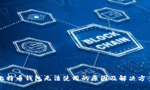 比特币钱包无法使用的原因及解决方案